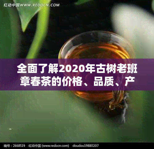 全面了解2020年古树老班章春茶的价格、品质、产区及泡法，解答您的所有疑问