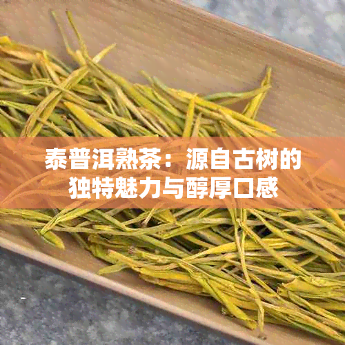 泰普洱熟茶：源自古树的独特魅力与醇厚口感