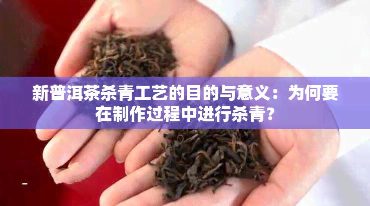 新普洱茶杀青工艺的目的与意义：为何要在制作过程中进行杀青？