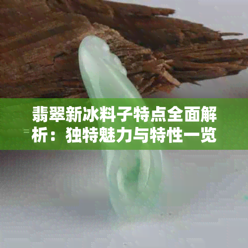 翡翠新冰料子特点全面解析：独特魅力与特性一览