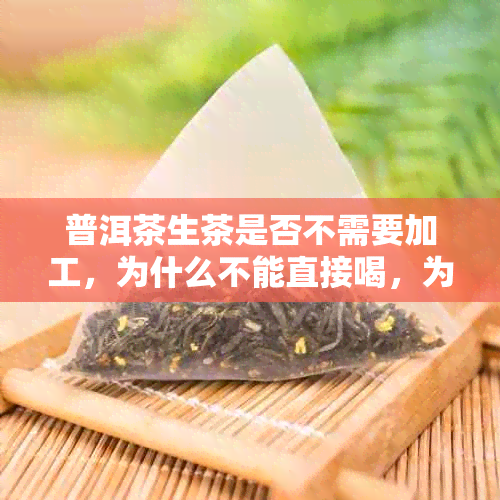 普洱茶生茶是否不需要加工，为什么不能直接喝，为什么不好喝？