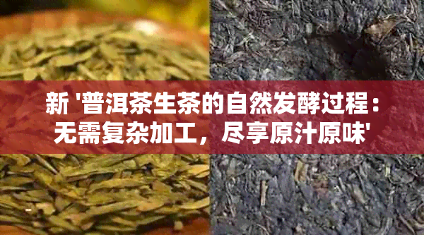 新 '普洱茶生茶的自然发酵过程：无需复杂加工，尽享原汁原味'