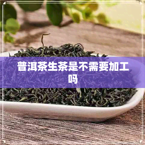 普洱茶生茶是不需要加工吗