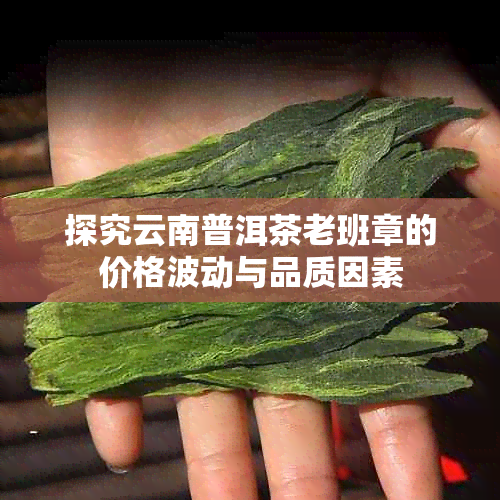 探究云南普洱茶老班章的价格波动与品质因素