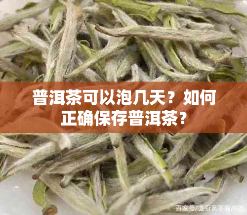 普洱茶可以泡几天？如何正确保存普洱茶？