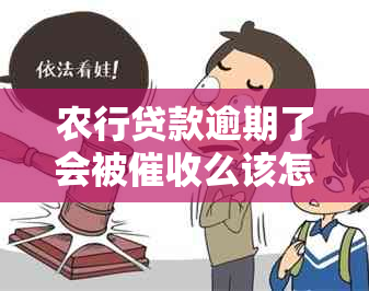 农行贷款逾期了会被么该怎么办