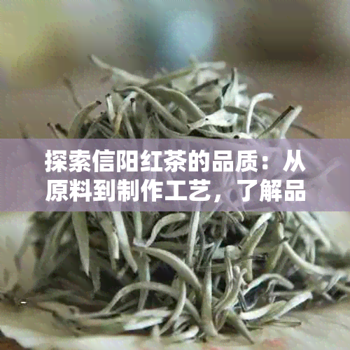 探索信阳红茶的品质：从原料到制作工艺，了解品质的信阳红茶特点