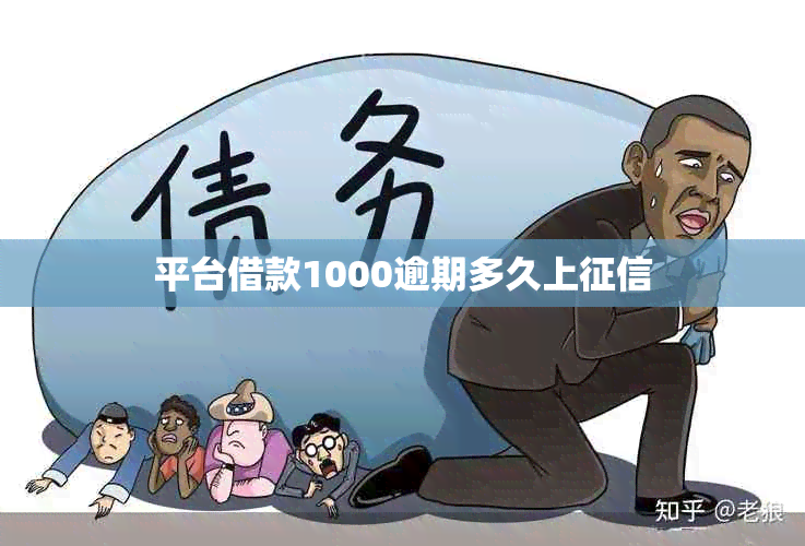 平台借款1000逾期多久上