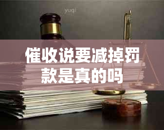 说要减掉罚款是真的吗