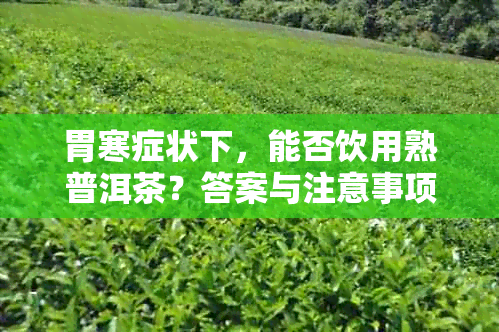 胃寒症状下，能否饮用熟普洱茶？答案与注意事项一览