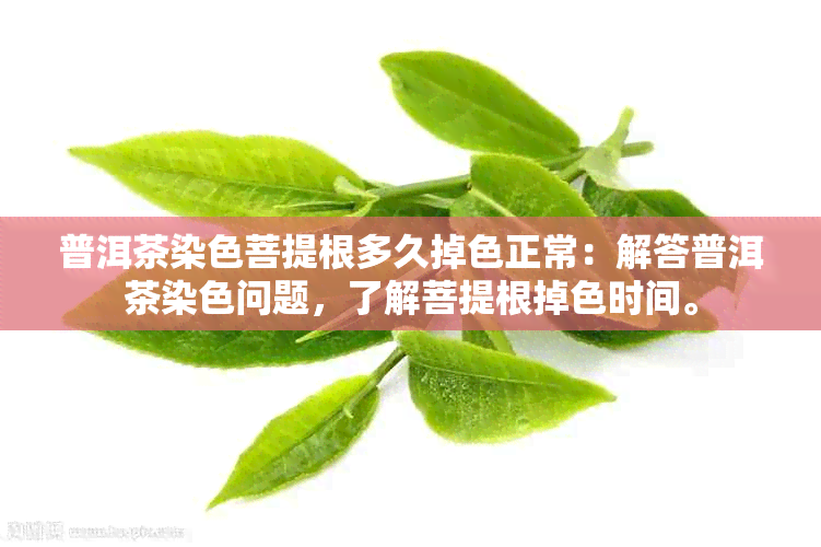 普洱茶染色菩提根多久掉色正常：解答普洱茶染色问题，了解菩提根掉色时间。