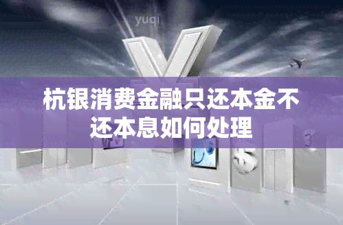 杭银消费金融只还本金不还本息如何处理