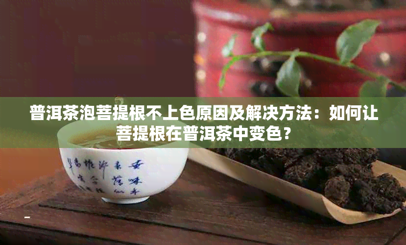 普洱茶泡菩提根不上色原因及解决方法：如何让菩提根在普洱茶中变色？