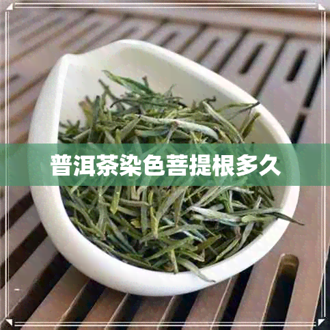 普洱茶染色菩提根多久