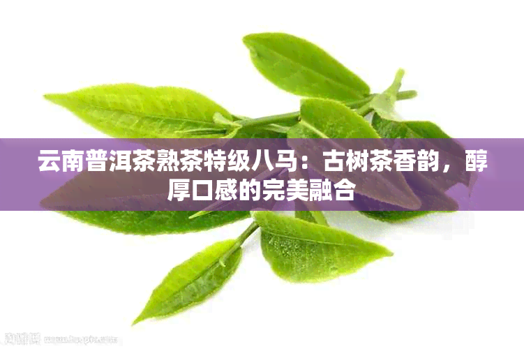 云南普洱茶熟茶特级八马：古树茶香韵，醇厚口感的完美融合