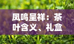 凤鸣呈祥：茶叶含义、礼盒价格与祥云寓意