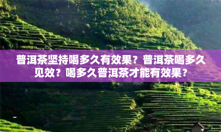 普洱茶坚持喝多久有效果？普洱茶喝多久见效？喝多久普洱茶才能有效果？