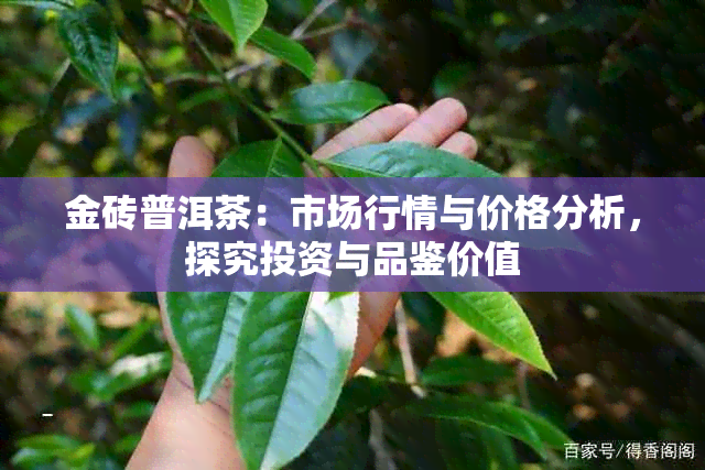 金砖普洱茶：市场行情与价格分析，探究投资与品鉴价值