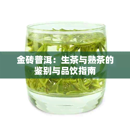 金砖普洱：生茶与熟茶的鉴别与品饮指南