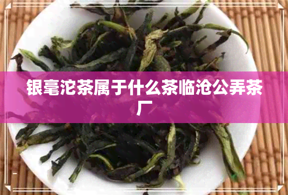 银毫沱茶属于什么茶临沧公弄茶厂