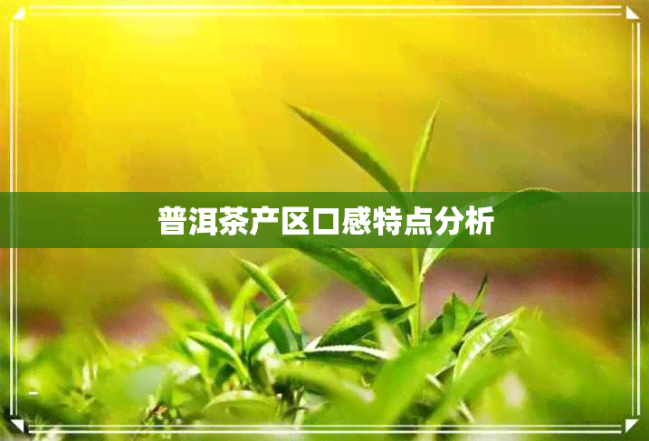 普洱茶产区口感特点分析