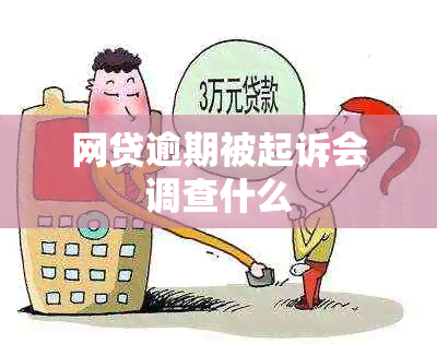 网贷逾期被起诉会调查什么