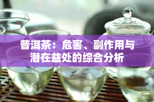 普洱茶：危害、副作用与潜在益处的综合分析