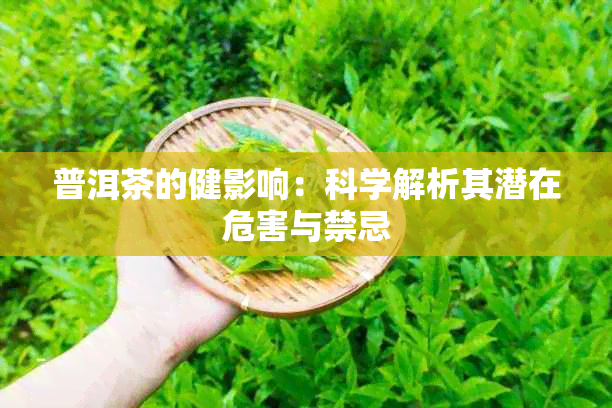 普洱茶的健影响：科学解析其潜在危害与禁忌