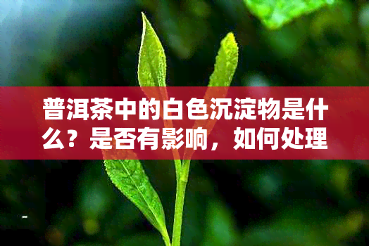 普洱茶中的白色沉淀物是什么？是否有影响，如何处理？