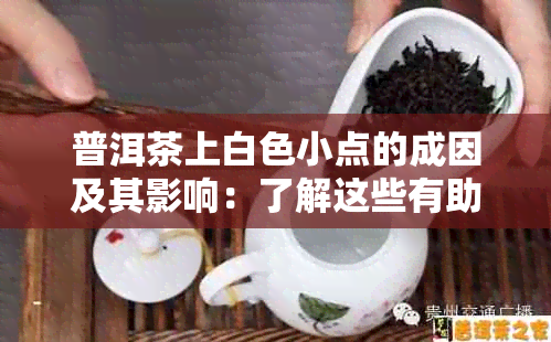 普洱茶上白色小点的成因及其影响：了解这些有助于购买和品鉴普洱茶