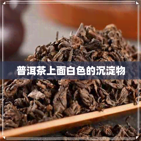 普洱茶上面白色的沉淀物