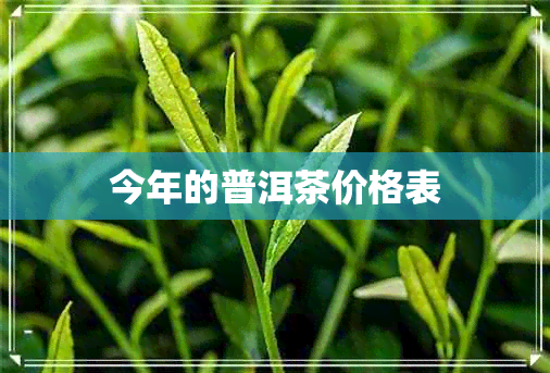 今年的普洱茶价格表