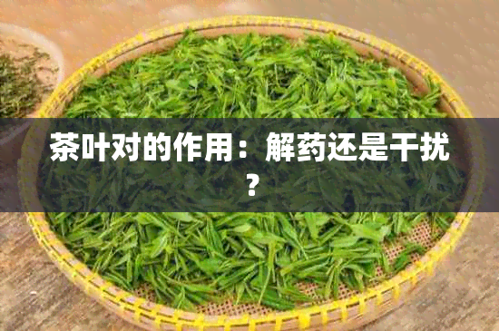 茶叶对的作用：解还是干扰？