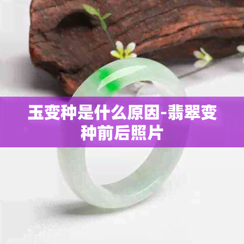 玉变种是什么原因-翡翠变种前后照片