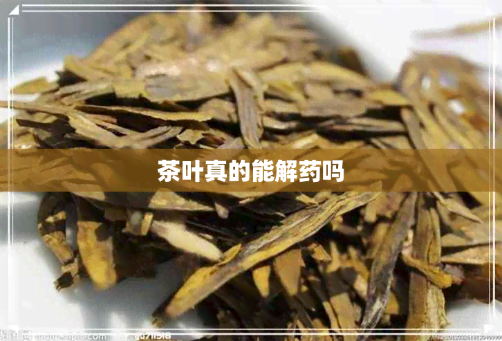 茶叶真的能解吗