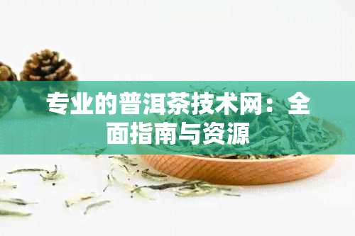 专业的普洱茶技术网：全面指南与资源