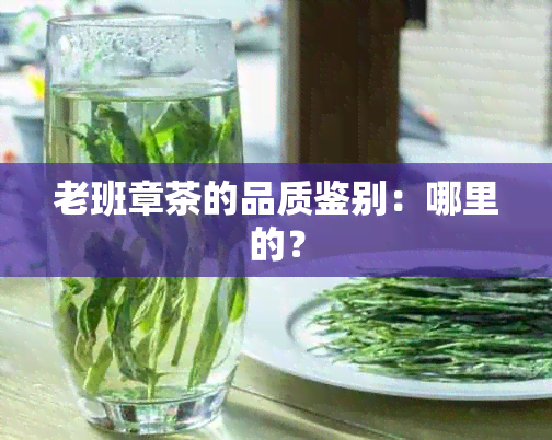 老班章茶的品质鉴别：哪里的？