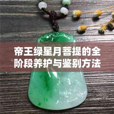 帝王绿星月菩提的全阶段养护与鉴别方法：从种植到雕刻，一篇全面指南！