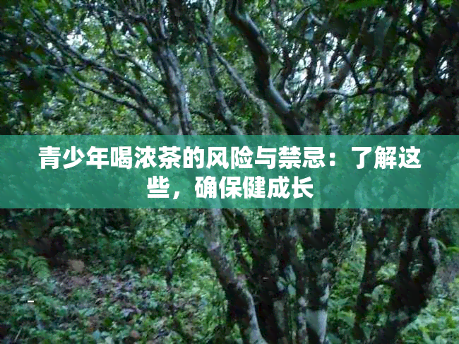 青少年喝浓茶的风险与禁忌：了解这些，确保健成长