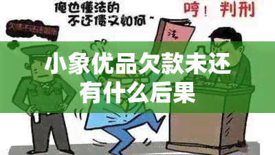 小象优品欠款未还有什么后果