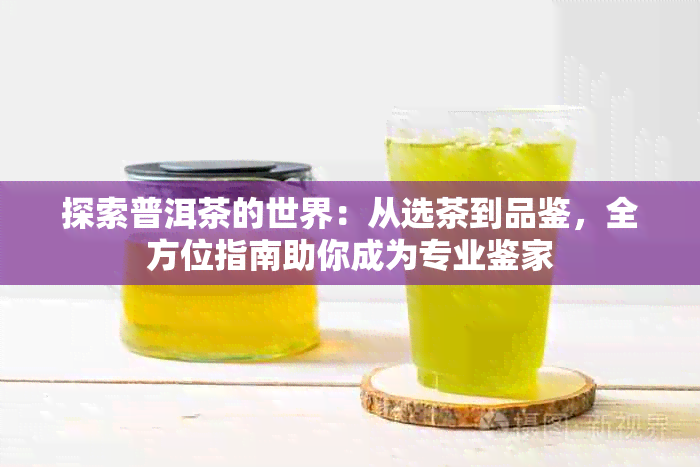 探索普洱茶的世界：从选茶到品鉴，全方位指南助你成为专业鉴家