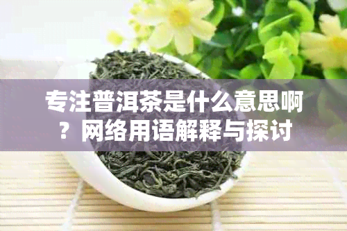 专注普洱茶是什么意思啊？网络用语解释与探讨