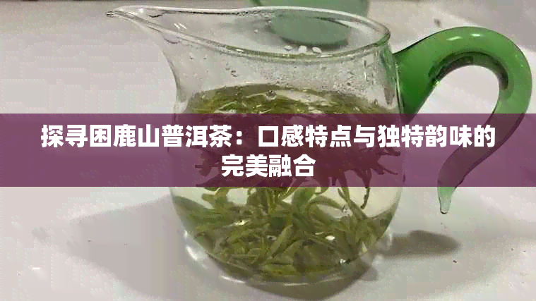 探寻困鹿山普洱茶：口感特点与独特韵味的完美融合