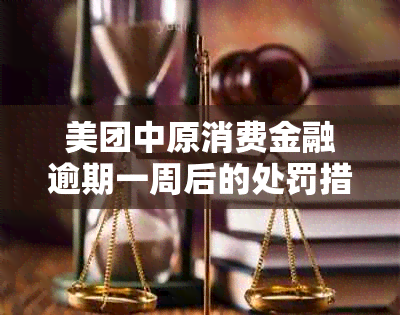 美团中原消费金融逾期一周后的处罚措及后果