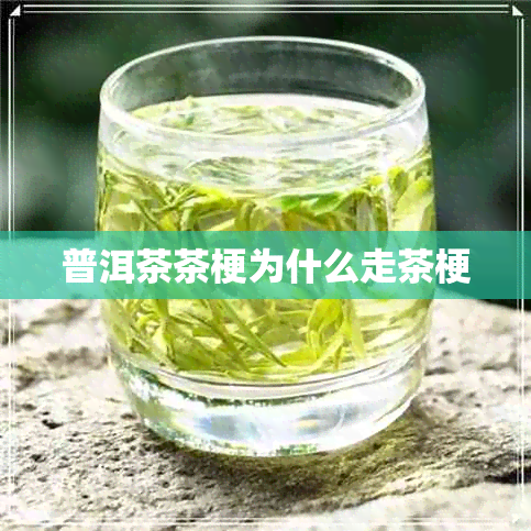 普洱茶茶梗为什么走茶梗