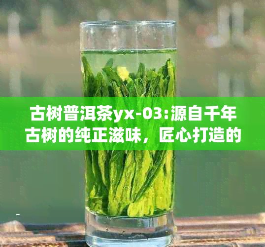 古树普洱茶yx-03:源自千年古树的纯正滋味，匠心打造的高品质茶品