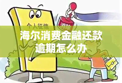 海尔消费金融还款逾期怎么办