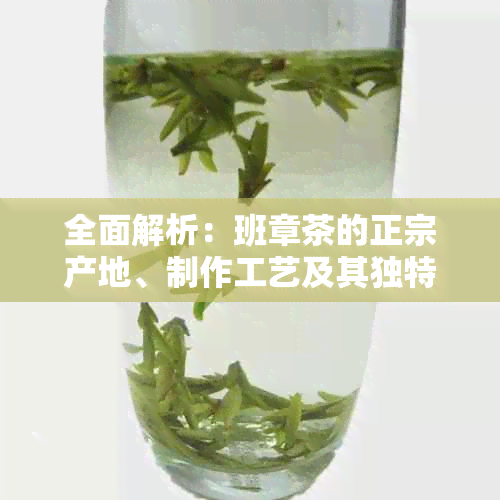 全面解析：班章茶的正宗产地、制作工艺及其独特风味