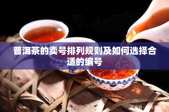 普洱茶的卖号排列规则及如何选择合适的编号