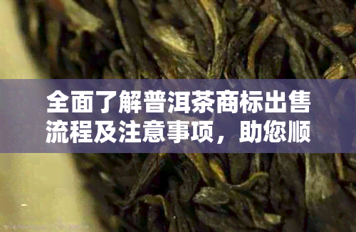 全面了解普洱茶商标出售流程及注意事项，助您顺利完成交易！